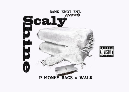 P Money Bags x Walk - Scaly Shine